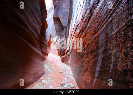 Buckskin Gulch, arizona Stockfoto