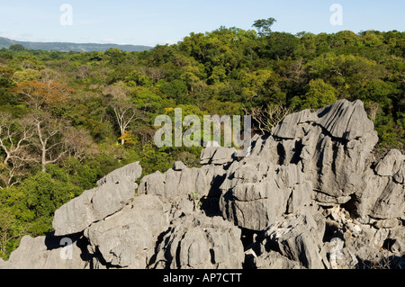 die Ankarana Massif, Tsingy und Laubwald, Ankarana spezielle Reserve, Madagaskar Stockfoto