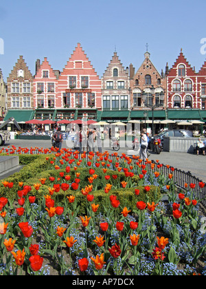 Tulpen in der Marktplatz Grote Markt zentrale Brügge, Belgien. Stockfoto