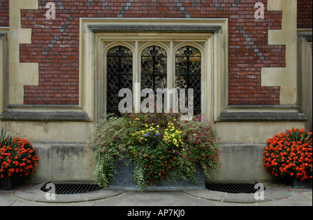 Nahaufnahme von Blumen außerhalb der Great Hall Lincoln Inn Holborn London England Stockfoto