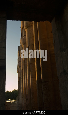 Kolonnade des geriffelten Lotus Hauptstadt Spalten, Nahost, Oberägypten, Theben, Luxor-Tempel. DSC 4585 Stockfoto