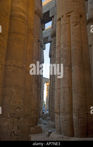 Kolonnaden des geriffelten Lotus Hauptstadt spalten, Tempel von Luxor, Theben, Oberägypten, Naher Osten. DSC 4586 Stockfoto