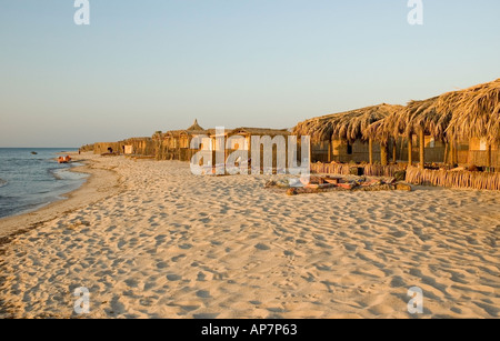 Günstige Unterkunft am Strand zwischen Nuweiba und Taba, Golf von Aqaba, Rotes Meer. DSC 4778 Stockfoto