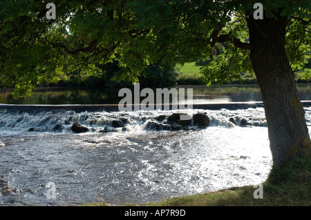 River Wharfe im Sommer Linton Yorkshire Dales National Park North Yorkshire England Vereinigtes Königreich GB Großbritannien Stockfoto