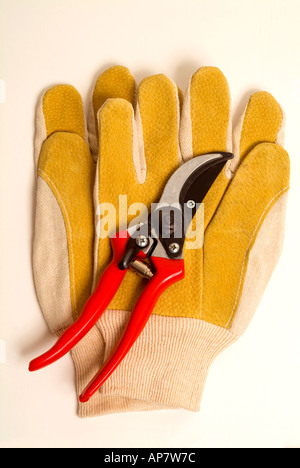 Gartenschere beschneiden und Leder Traumanlagen Garten Handschuhe Stockfoto