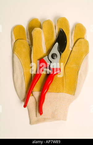 Gartenschere beschneiden und Leder Traumanlagen Garten Handschuhe Stockfoto