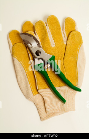 Gartenschere beschneiden und Garten Handschuhe Stockfoto