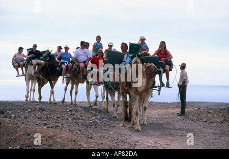 Touristen reisen auf Kamelen in der Wüste, La Lajita Oasis Park, Fuerteventura, Kanarische Inseln, Spanien Stockfoto