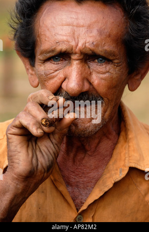 Kubanischen Tabak Landwirt Stockfoto