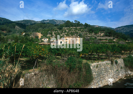 Häuser in einem Dorf auf einer Landschaft Stockfoto