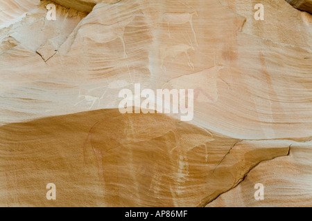 Tiere in Felskunst, Mestekawi Höhle, Gilf Kebir, westliche Wüste Ägyptens geätzt. Stockfoto