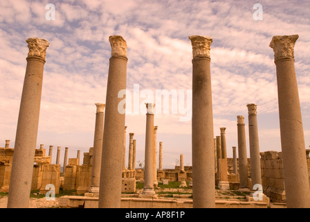 Römische Säulen hinter dem Theater-Leptis Magna-Libyen Stockfoto