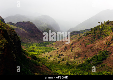 Nebel der Berg und Tal auf Kauai, Hawaii, USA Stockfoto