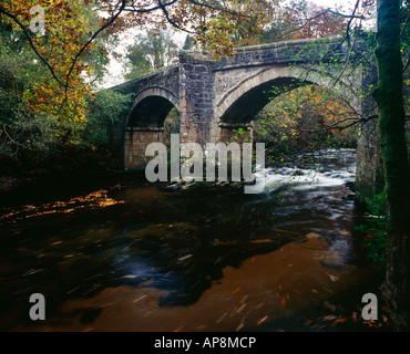 Neue Brücke über den Fluss Dart in der Nähe des Dorfes Holne im Nationalpark Dartmoor, Devon. Stockfoto