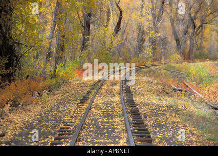 Fallfarbe und Schienen entlang der Cumbres Toltec Scenic Railroad nationalen historischen Website Chama New Mexico Stockfoto