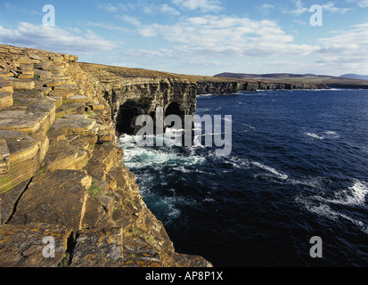 Dh Südlich der Bucht von Skaill SANDWICK ORKNEY Meereshöhlen Klippen und Westküste basalt Höhle Stockfoto