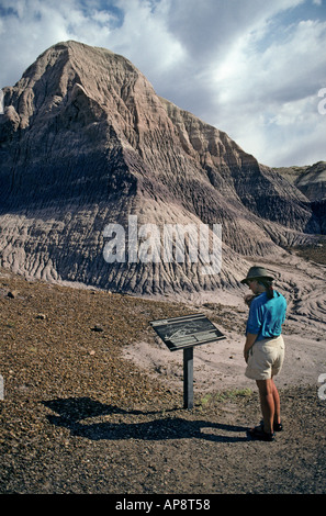 Weibliche Touristen Blick auf einen Park-Hinweisschild Blue Mesa Petrified Forest National Park Arizona USA Stockfoto