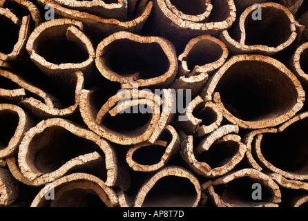 Kork-Eiche Quercus Suber abgestreift vom Baum bereit für Behandlung Algarve Portugal Europa Stockfoto