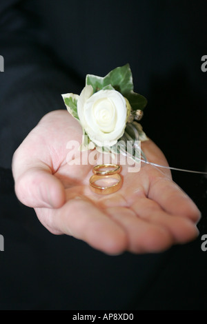 Ringe und weiße Rose in mans Hand vor einer Hochzeit Stockfoto