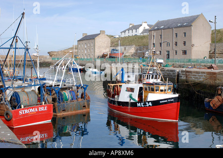 Fischerboote im Hafen von Burghead Moray, Grampian Garnele. Schottland.  XPL 3404-334 Stockfoto