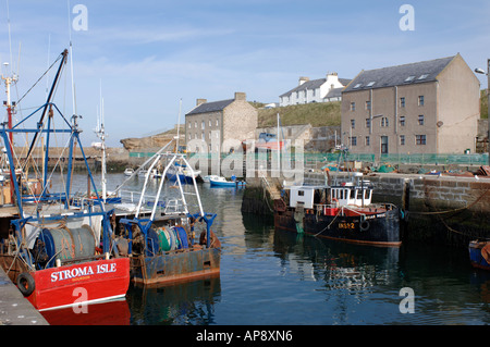 Fischerboote im Hafen von Burghead Moray, Grampian Garnele. Schottland.  XPL 3405-334 Stockfoto