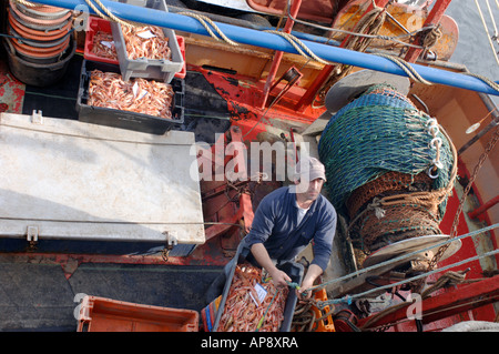 Fischerboote im Hafen von Burghead Moray, Grampian Garnele. Schottland.  XPL 3408-334 Stockfoto