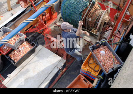 Fischerboote im Hafen von Burghead Moray, Grampian Garnele. Schottland.  XPL 3409-334 Stockfoto