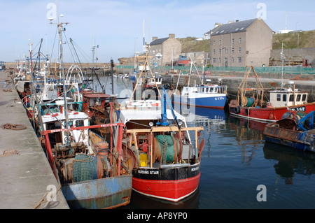 Fischerboote im Hafen von Burghead Moray, Grampian Garnele. Schottland.  XPL 3412-334. Stockfoto