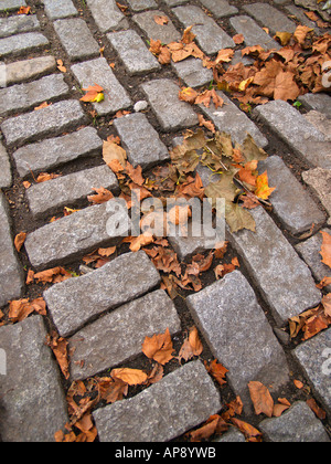 Gefallene Herbstlaub am Steinweg Mauerwerk in der Stadt. Stockfoto