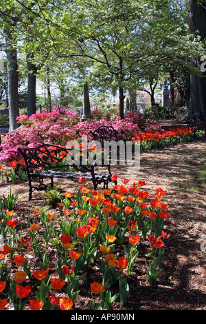 Bank im Blumengarten von dem Oakland Cemetery in Atlanta Georgia Stockfoto