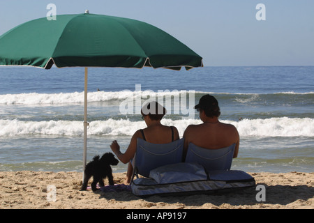 Mann und Frau sitzen unter Dach mit Pudel am Strand Stockfoto