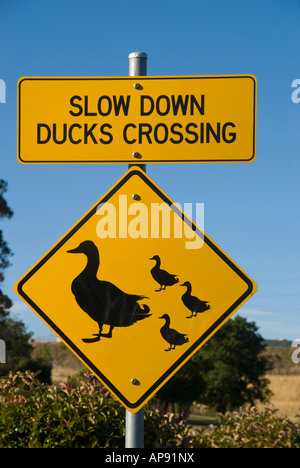 Straßenschild, Warnung vor Enten, die die Straße überqueren: Langsamer fahren, Enten überqueren Stockfoto
