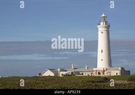 Leuchtturm Seal Point Cape St Francis Südafrika Stockfoto