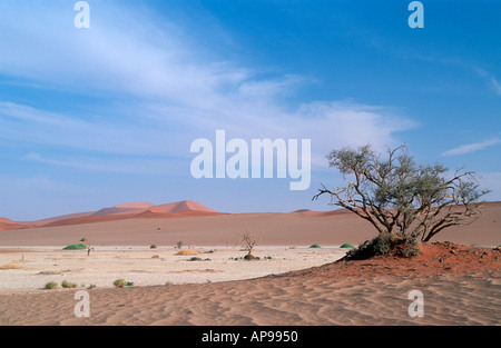 Wüstenlandschaft Hidden Vlei Sesriem Namib Naukluft Park Namibia 2000 Stockfoto