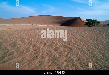 Sand Muster Hidden Vlei Sesriem Namib Naukluft Park Namibia 2000 Stockfoto