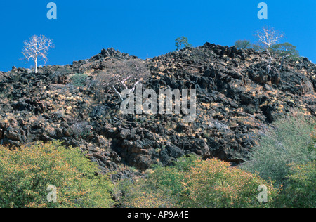 Schwarzer Rock und weiße Baum Landschaft Namibias 2000 Stockfoto