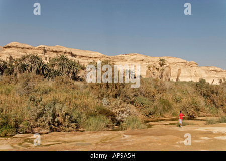Israel Ein Zin in der Negev-Wüste Stockfoto