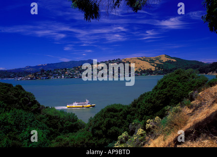 Anzeigen von Angel Island State Park, San Francisco Bay, auf der Suche, Marin County, Angel Island State Park, Angel Island, Kalifornien Stockfoto