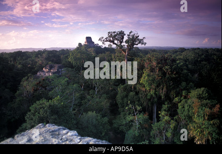 Der Dschungel Baldachin und Tempel IV von Lost World Mundo Perdido Tikal El Petén Guatemala gesehen Stockfoto