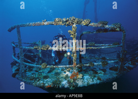 Taucher mit Unterwasserbeleuchtung Ansichten Unterwasserwelt am Wrack Jabeda Stockfoto