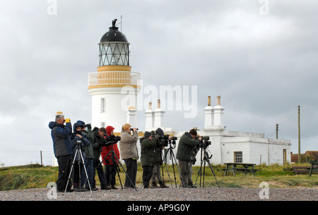 DELPHIN-BEOBACHTER UND FOTOGRAFEN AM CHANONRY POINT NAHE ROSEMARKIE IM MORAY FIRTH, NORD-OST-SCHOTTLAND, GROßBRITANNIEN. Stockfoto