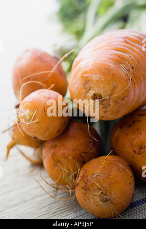 Globus rote Beete Stockfoto