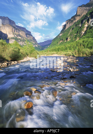 Ara-Fluss im Ordesa Nationalpark in Huesca Provinz Aragón Pyrenäen Gebirge Spanien Stockfoto