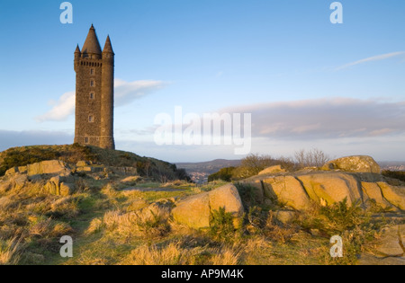 Landschaftsbild des Scrabo Turm in der Morgendämmerung, Newtownards, County Down, Nordirland Stockfoto