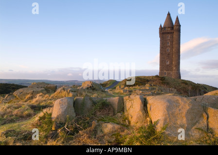 Landschaftsbild des Scrabo Turm in der Morgendämmerung, Newtownards, County Down, Nordirland Stockfoto