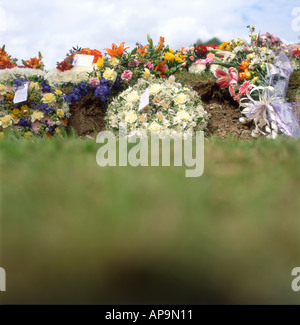 Grab mit Blumen Carmarthenshire Wales UK Stockfoto