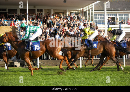 Rennpferde, die Überquerung der Gewinnlinie Royal Windsor Racecourse Stockfoto