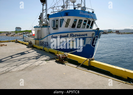 Angelboot/Fischerboot angedockt am Greenspond Hafen Neufundland Atlantik-Kanada Stockfoto