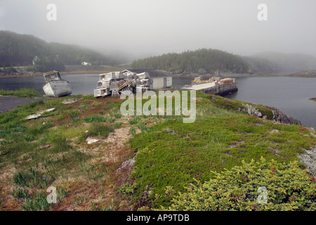 Fischerei-Hafen, dock an einer der Buchten an der Küste von Neufundland, Kanada Stockfoto