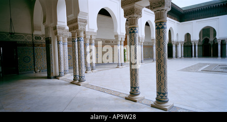 Die Paris-Moschee in der Stadt von Paris In Frankreich In Europa Stockfoto